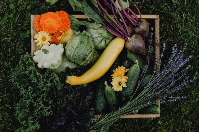 Przepisy na pyszne i zdrowe dania z warzywami i owocami w roli głównej