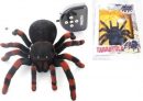 Pająk Tarantula na radio –  Norimpex – Zabawki interaktywne