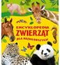 Encyklopedia zwierząt dla najmłodszych – 240140