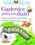 Ciekawe dlaczego – Gąsienice tak dużo jedzą – Olesiejuk – Książki dla dzieci