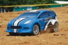 Model RC Rally Car 4WD RTR (DIDC0076)